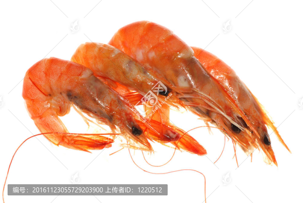 煮蝦分離