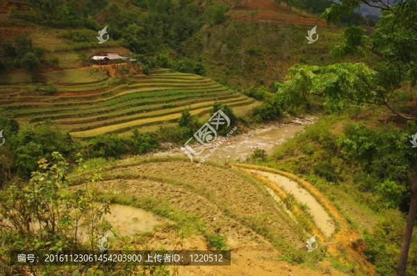 山地稻田景觀(guān)