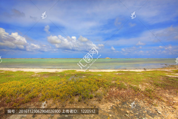 鹽湖