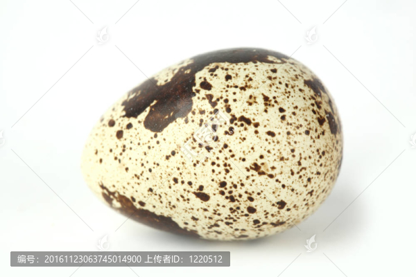 鵪鶉蛋