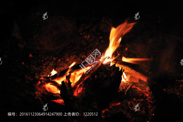 ampfire和露營