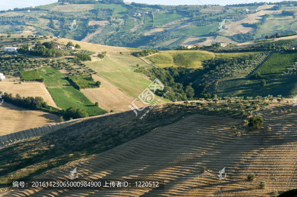 阿特里自然公園（Ancona；Abruzzi；意大利）；景觀在夏天