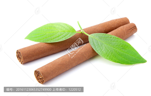兩支雪茄白色背景雪茄