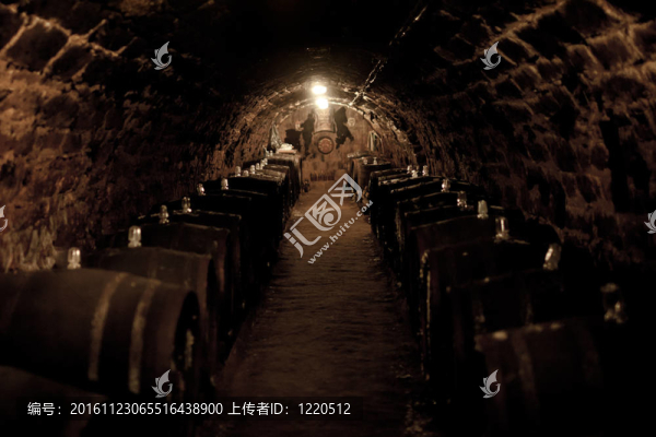 酒窖