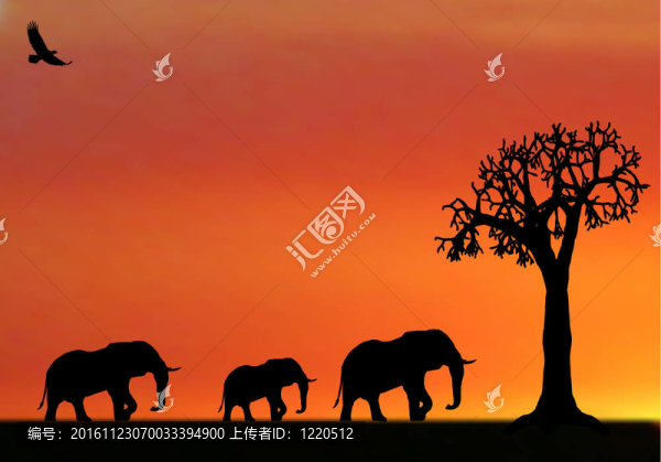 非洲的大象在夕陽的插畫
