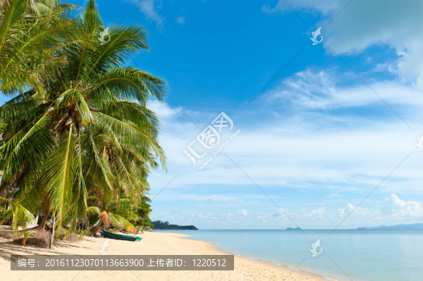熱帶海灘