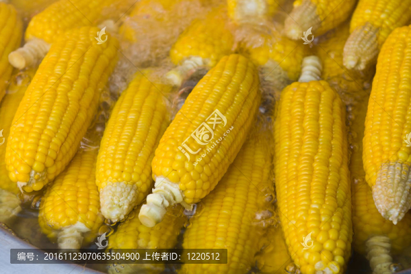 鮮食水玉米
