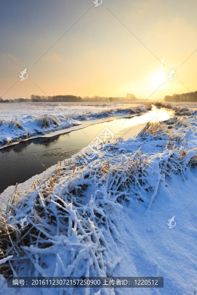 冬季景觀與雪