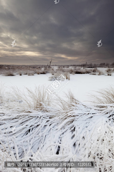 冬季暴風(fēng)雪的風(fēng)景