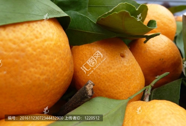 在一個(gè)農(nóng)貿(mào)市場(chǎng)橘子