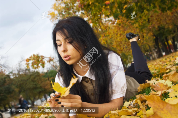 金黃的葉子
