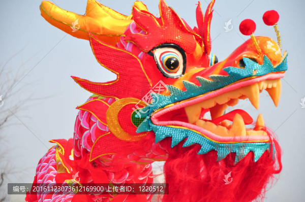 龍的頭10