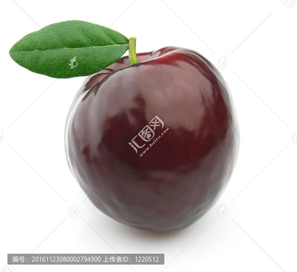 鮮葉葉