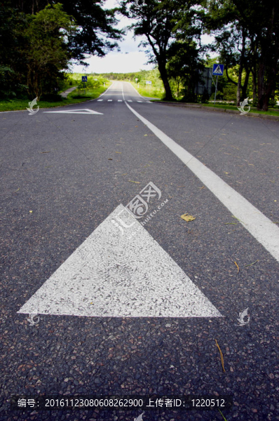 度假村內(nèi)的柏油路