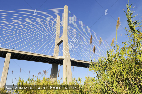達伽馬大橋；Lisbon；葡萄牙