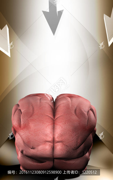 腦