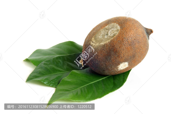 發(fā)霉的干葉子綠檸檬