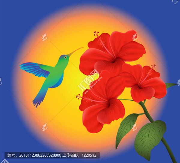 芙蓉和蜂鳥