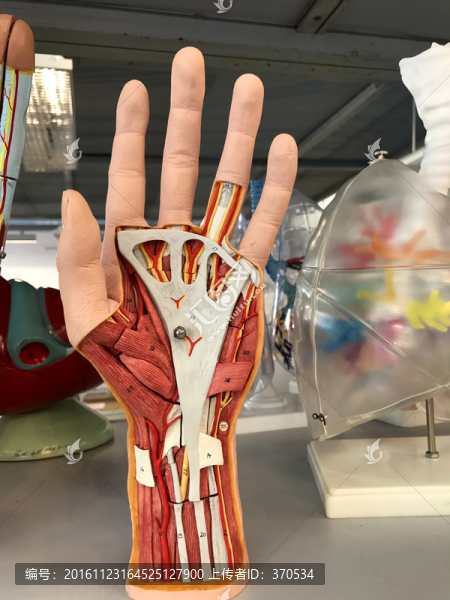 教育裝備展覽