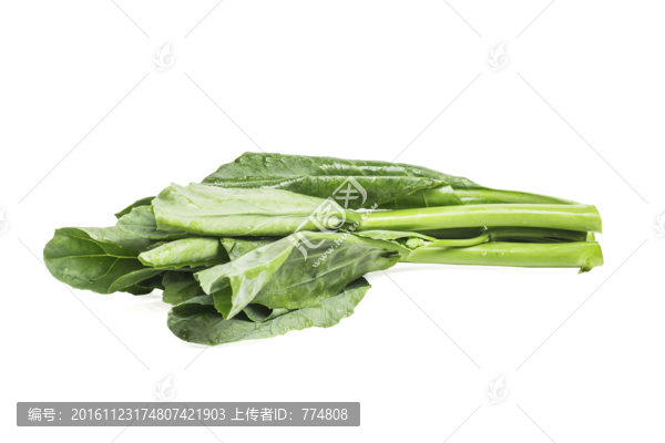 芥藍(lán)