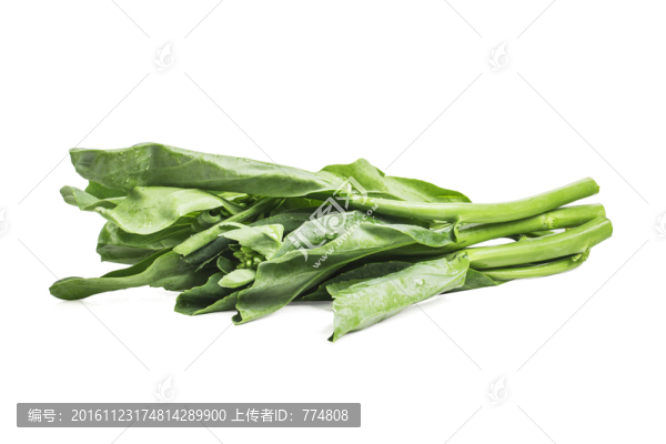芥藍(lán)