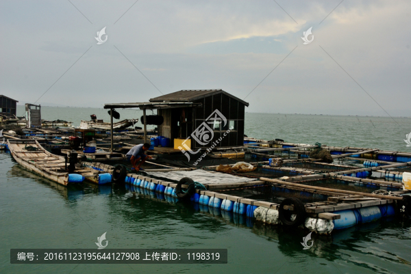 海上人家,漁民,海上養(yǎng)殖