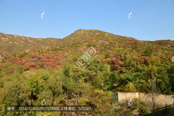 山巒秋色