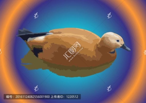 具有效果的三維-凸性的鴨子