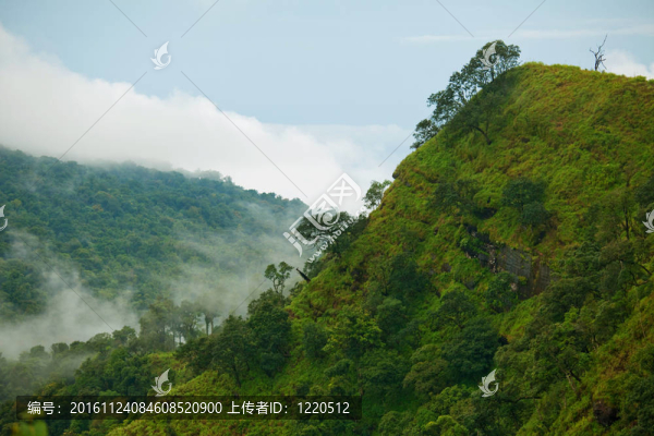 綠草山