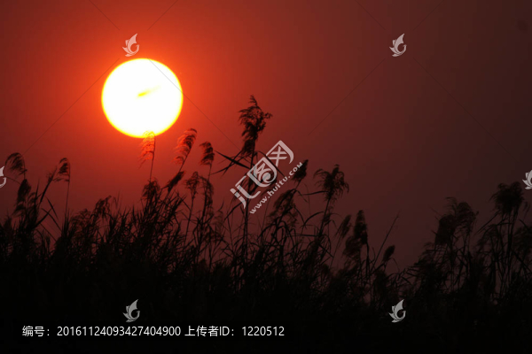 在奧卡萬戈河的日落；博茨瓦納。