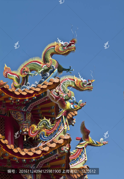 中華寺的龍