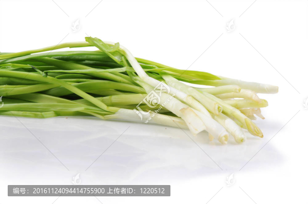 白色背景上的一束蔥