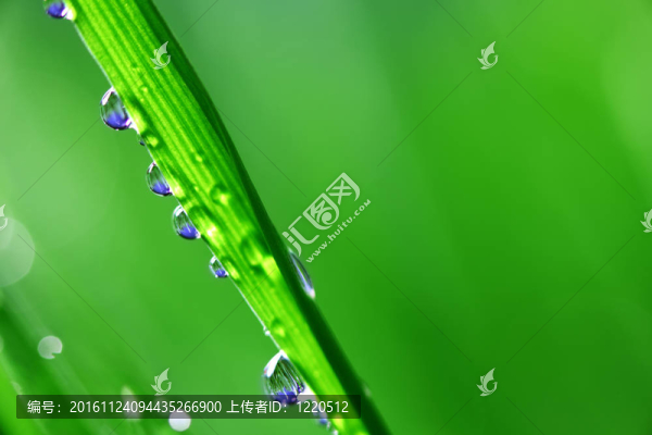 大水滴