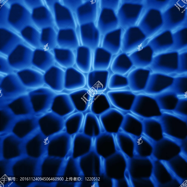 摘要蛛網(wǎng)