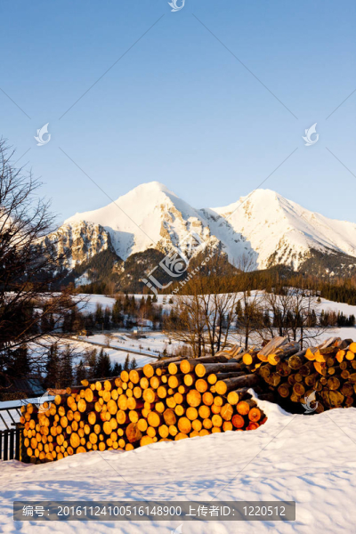Belianske,Tatry（Belianske,Tatras）在斯洛伐克的冬天；