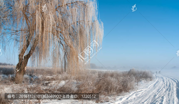 霧蒙蒙的寒冷的早晨，2