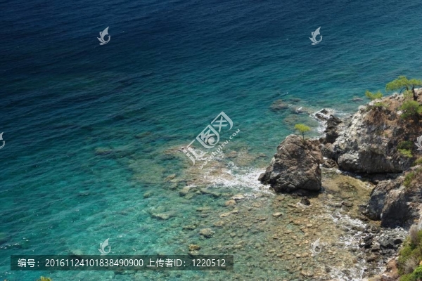 海的彼岸