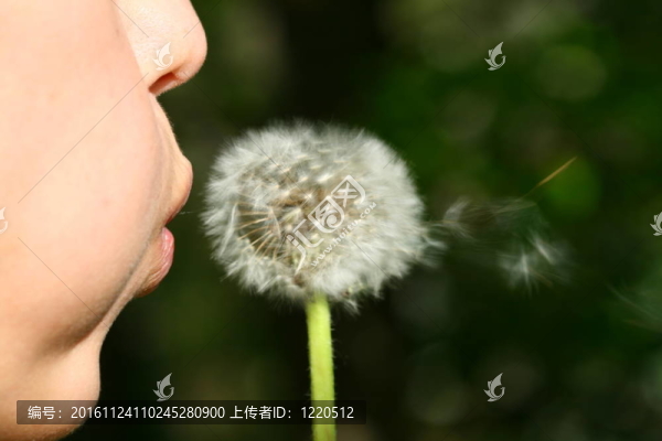 我希望