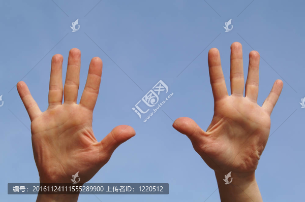 兩手掌