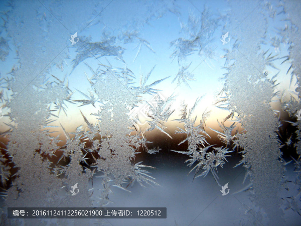 冬季窗上的雪紋
