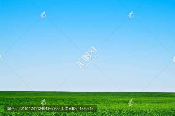 景觀