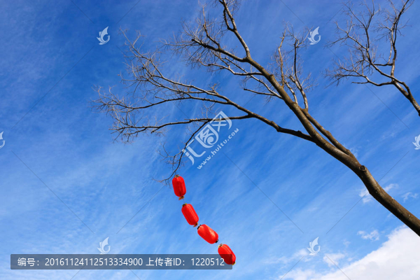 中國(guó)紅燈籠掛在樹(shù)上慶祝