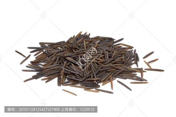 野生稻