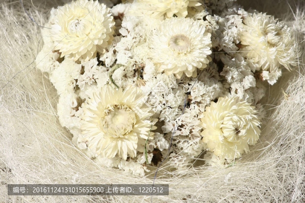 白色花的排列
