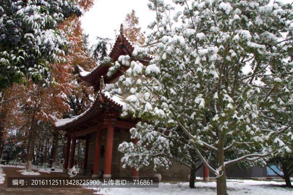薦福寺鐘樓,西安小雁塔雪景