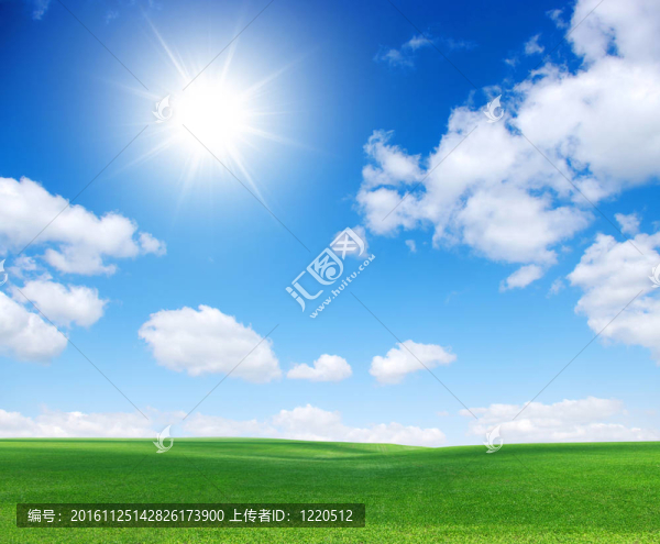 綠色的田野