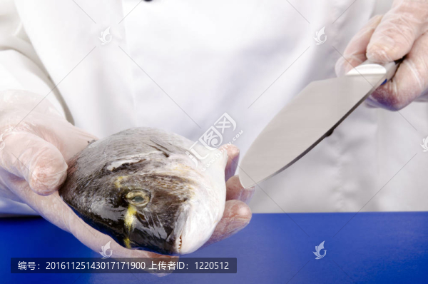 女廚師削減了真鯛再炒