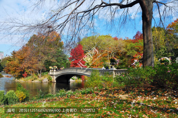 曼哈頓市紐約中央公園