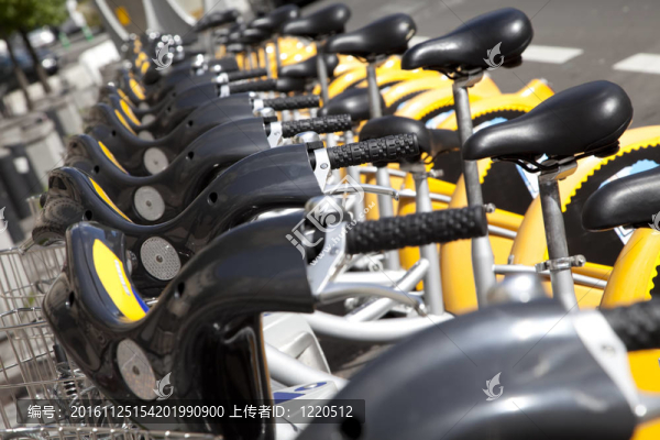 城市自行車出租