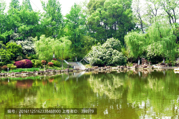 常州紅梅公園